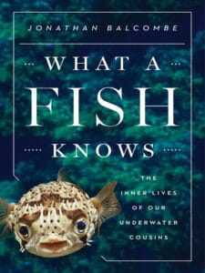 What a Fish Knows: The Inner Lives of Our Underwater Cousins book cover