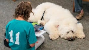girl reading to white dog